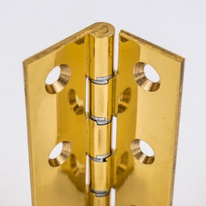 SDWP Brass Butt Hinge - Image 5
