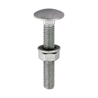 Dome Head Carriage Bolt - M6 Gauage