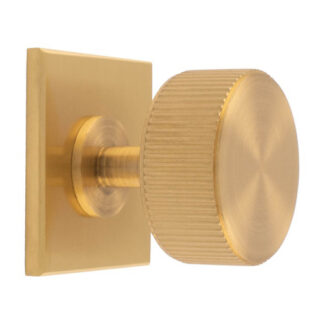 Carlisle Brass BP713SB40SB Lines Radio Knob on Backplate (LEAD TIME: 2-3 DAYS)