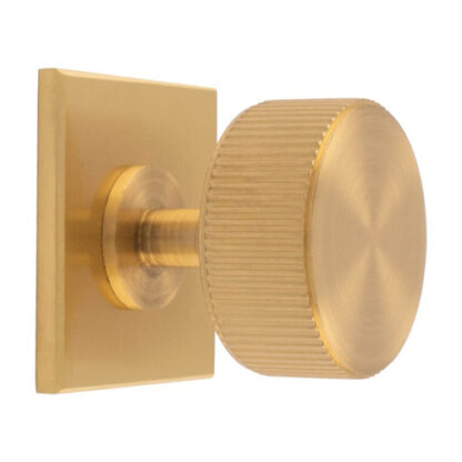 Carlisle Brass BP713SB40SB Lines Radio Knob on Backplate (LEAD TIME: 2-3 DAYS)