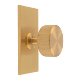 Carlisle Brass BP713SB76SB Lines Radio Knob on Backplate (LEAD TIME: 2-3 DAYS)