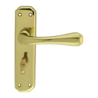 Carlisle Brass DL412 Eden Lever on WC  Backplate (LEAD TIME: 2-3 DAYS)