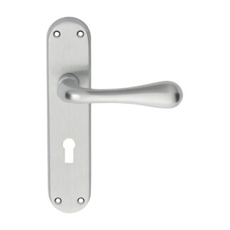 Manital EL21SC Astro Lever on Lock Backplate (LEAD TIME: 2-3 DAYS)