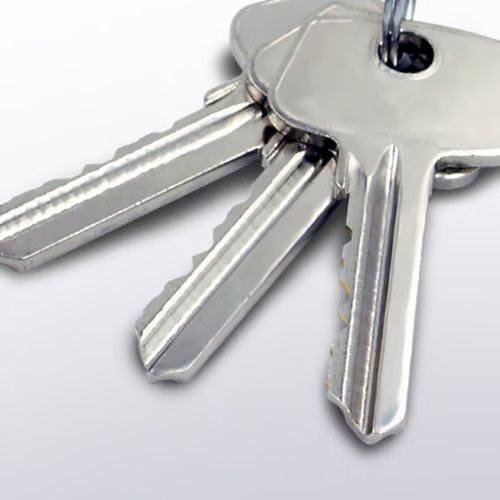 Locks with Extra Cut Keys Available