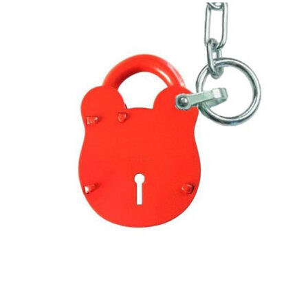 NKS100 Accessible padlock - Image 2