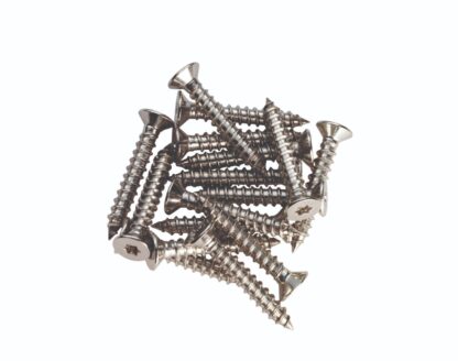 Carlisle Brass ASS1022 Hinge Metal Pack (16) M6 x 10mm Small Head PZ2 (LEAD TIME: 2-3 DAYS)