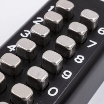 Borg 4409 Digi Rim Slam Latch BK - Image 3