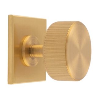 Carlisle Brass BP713SB40SB Lines Radio Knob On Backplate (LEAD TIME: 2-3 DAYS)
