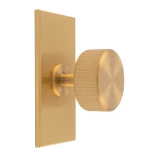 Carlisle Brass BP713SB76SB Lines Radio Knob On Backplate (LEAD TIME: 2-3 DAYS)