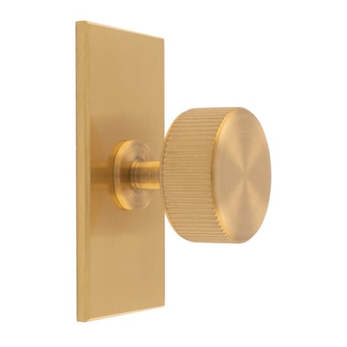 Carlisle Brass BP713SB76SB Lines Radio Knob On Backplate (LEAD TIME: 2-3 DAYS)