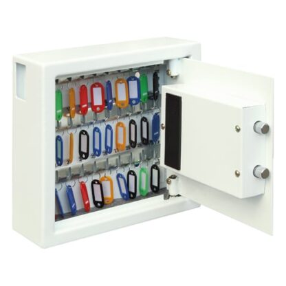 Phoenix KS0030 Series Key Security (LEAD TIME: 2-3 DAYS) - Image 2