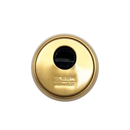 Tesa TLB Series 5 Point Latch 10 Pin Bolts 2 Shoot Bolt U-Rail 20mm Faceplate Multipoint Door Lock - Key Wind - Image 2
