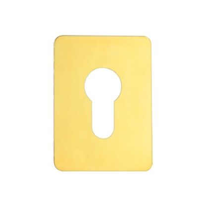 TSS Large Euro Stick On Escutcheon - Image 12