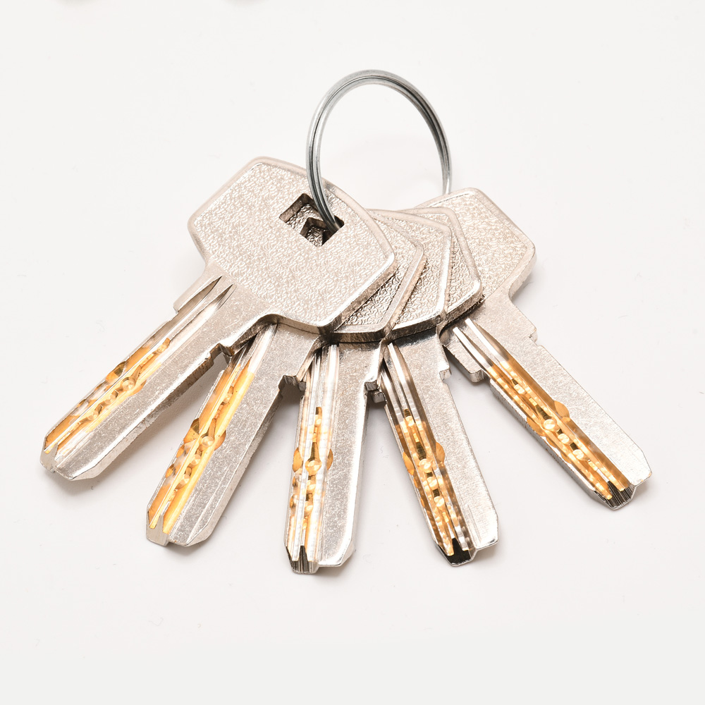 TSS Double Locking Long Throw Gate Lock - Image 6