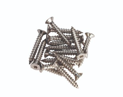 Carlisle Brass ASS1022 Hinge Metal Pack (16) M6 x 10mm Small Head PZ2 (LEAD TIME: 2-3 DAYS)